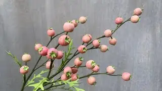 ABC TV | Как сделать грибы из морепродуктов бумаги » вики полезно Квиллинг из бумаги — мастер-класс