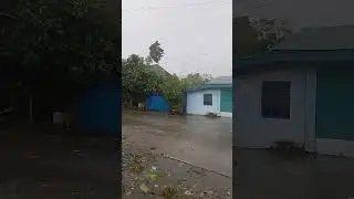 Go away typhoon Nika