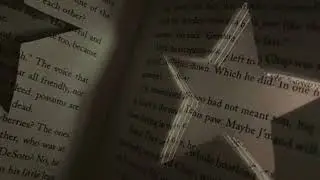 Reflections [Slowed & Echoed]