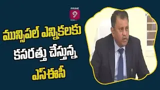 మున్సిపల్ ఎన్నికలకు కసరత్తు చేస్తున్న ఎస్ఈసీ | SEC on Municipal Elections | Prime9 News
