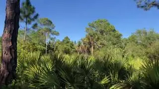 The Carlton Reserve