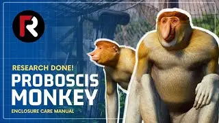 [April Fools] Proboscis Monkey | Research Done! | Planet Zoo Guide | Enclosure Design Manual
