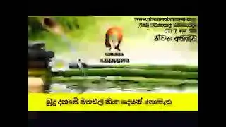 බුදු දහමේ මගඵල කියා දෙයක් නොමැත