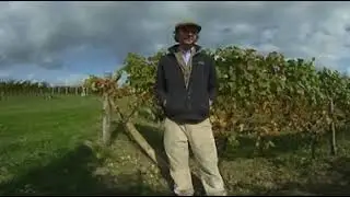 Making sparkling wine on the South Downs: 360 degree interview with Fred Langdale at Exton Park