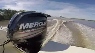 Mercury 115 hp  Eclipse 17 sport