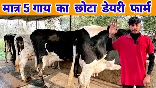 मात्र 5 गाय की फार्म से कितनी कमाई | small dairy farm business plan 