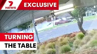 The police dog that helped stopped an accused criminal | 7NEWS