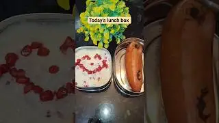 ✨️Lunch Box Series-38||#shortsfeed #shorts #kidslunchbox #trending #food #kidslunchboxideas #music