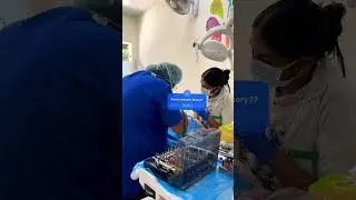 Painless Dental Implant Surgery at Absolute Dental Jalandhar🦷✨