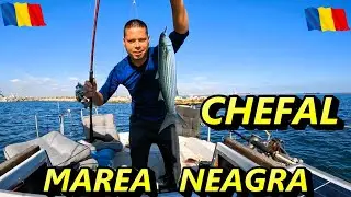 Am prins chefali dupa chefali la bombarda  in Marea Neagra.