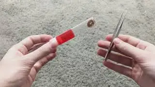 How to: Setting Up a Semi Claustral Test Tube