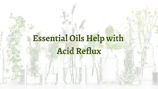 Essential Oils Help with Acid Reflux