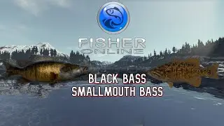 Fisher Online -- BLACK BASS/SMALLMOUTH BASS -- France Ponds of Perruchet