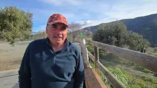 9 de enero de 2025
