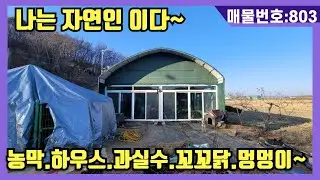 NO(803)#강화도전원주택#강화도근생#강화도토지#강화도부동산#강화도농막.나는 자연인이다~강화대교5분.농막.하우스.과실수.꼬꼬닭.멍멍이~힐링하세요.