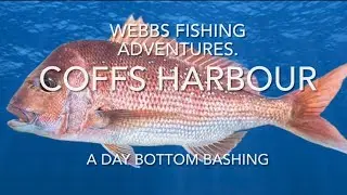 A day out at Coffs Harbour bottom bashing. #fishing #fish #ocean