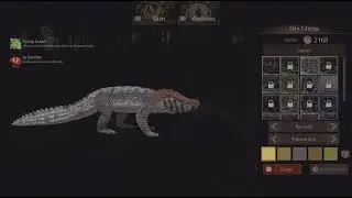 Capro trying to build nest 2