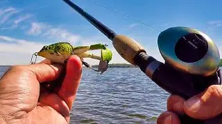 ЛУЧШАЯ ЛЯГУШКА ДЛЯ ЛОВКИ ОКУНЯ НА ПОВЕРХНОСТИ ВОДЫ?! - Ловля окуня и боуфина на очень мелководье