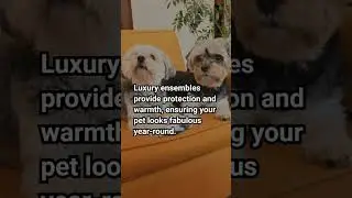🎀 Top Pet Fashion Trends Every Pet Owner Should Know About #youtubeshorts #facts #petcareprovider