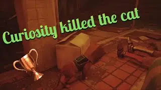 Stray | Curiosity Killed The Cat | Trophy Guide 🏆🐱