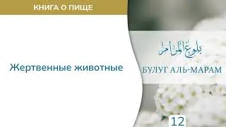 12. Книга о пище | Абу Яхья Крымский