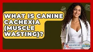 What Is Canine Cachexia (muscle Wasting)? - Ask A Pet Vet