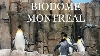 THINGS TO DO IN MONTREAL 2022 - SPACE FOR LIFE BIODOME, INSECTARIUM, BOTANICAL GARDEN & PLANETARIUM.