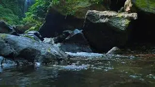 Purest Sounds of water &ndash; Thicket Run &mdash; no ambience, only water.