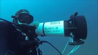 IMMERSIONE XJOY DEMO SUEX FISHDOG TEGNUE