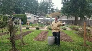 WINTER GARDENING Has Come to Portland