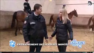 Brigade Équestre La Courneuve (93) Emission Les Animaux de la 8 (Direct 8) déc 2012