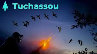 Chasse aux canards en Sologne - Tuchassou