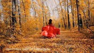 Falling Loves   Mauro Vittorio Quattrina