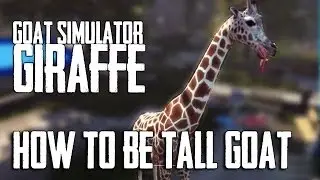 How to be a GIRAFFE 