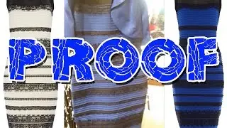 Proof that THE DRESS is Black and Blue NOT White and Gold