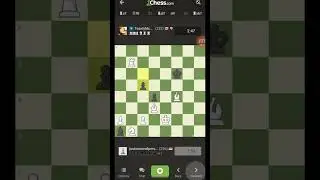 fighting a toast? #chess #chesscom