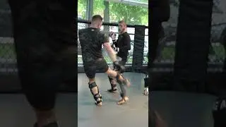 MMA Sparring at Munich MMA - No Bad Blood (7.5.24) #kampfsport #mma