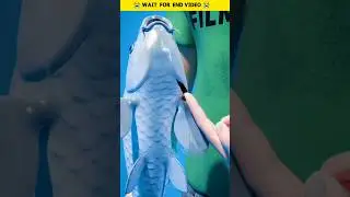Do not put your fingers inside the fish's gills 😭 #shorts