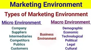 Micro Environment and Macro Environment | Types of Marketing Environment |Business Environment