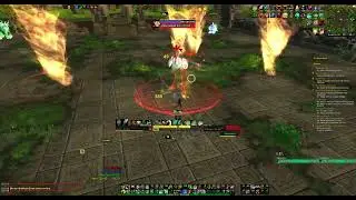 Level 30 Monk Solo Chi Ji  [August Celestial on Timeless Isle]