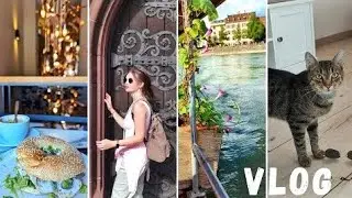 VLOG│caf&eacute; in Heidelberg - trip to Basel, Switzerland - cat-sitting - becoming a stem cell donor?