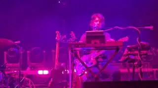 The Flaming Lips 