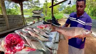 You Won't Believe! Fresh Fish Cutting Street Village Market Style In Traditional Marketplace Magic