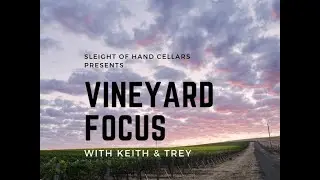 Vineyard Focus: Red mountain Vineyard