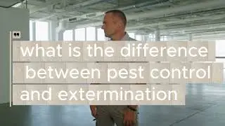 Understanding the Difference Between Pest Control and Extermination