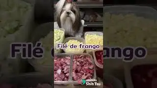 5 prote&iacute;nas que c&atilde;es podem comer