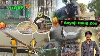 Sayaji Animal Park aa Gye 😍 Day-18 (2026) in Vadodara 😄