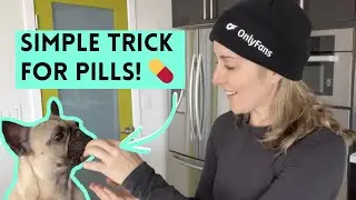 Easy Pill Giving Trick for My French Bulldog: Meds & Supplements!