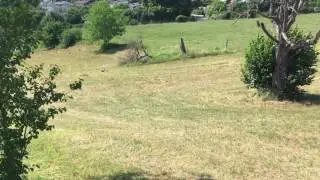 Terrain following demo video
