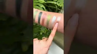 The New  Botanical Palette 💚🫶